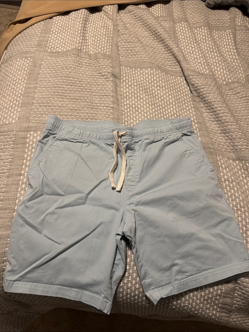Goodfellow & Co Light Blue Men's Drawstring Shorts